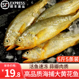 鲜渔翁黄花鱼 500g一条 活冻大黄鱼 生鲜鱼类 海鲜水产 黄鱼年货礼品 大黄花鱼 500g *5条（共2500g）