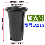 侬景园兰花专用盆 塑料兰花盆批发加厚加高大号兰花花盆透气排水兰草盆 加大号(外口径21.5厘米)
