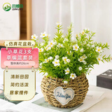 吕姆克仿真花假花塑料花草编篮套装客厅桌面茶几装饰摆件编织花盆3413