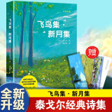 飞鸟集·新月集（全彩珍藏版）亚洲第一位“诺贝尔文学奖”得主，“诗圣”泰戈尔代表诗集