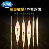 龙王恨浮漂炼匠芦苇手绘浮漂加粗醒目高灵敏黑坑混养综合鱼漂底钓鱼标 芦苇浮漂-L02 2#