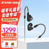 森海塞尔（Sennheiser）IE900/IE600/IE300旗舰级HIFI高保真超宽单动圈单元可拆卸MMCX挂耳式耳机 高保真发烧有线耳机耳塞 IE300 【进阶HIFI高保真】