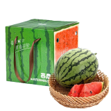 马保果海南麒麟小蜜蜂黑籽西瓜 新鲜2号红西瓜 1个尝鲜装
