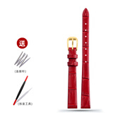小号真皮手表带适配CK 阿玛尼迪士尼化石宝时捷时尚女士纤细柔软薄小尺寸牛皮表带表链红色棕色黑色 鳄纹红色：金色扣 8mm