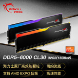 G.SKILL芝奇（G.SKILL）32GB(16Gx2) DDR5 6000 台式机内存-烈焰枪RGB 灯条-黑色/AMD EXPO/C30