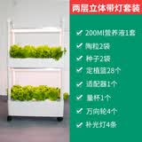 乾元益菜 阳台无土栽培蔬菜种植机水培设备家用种菜神器室内家庭种植箱 新款两层立体水循环带灯套装 大