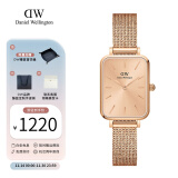 丹尼尔惠灵顿（DanielWellington）dw手表女 复古小方表石英女士手表欧美腕表 生日礼物送女友 日光金女表-麦穗钢带-DW00100484