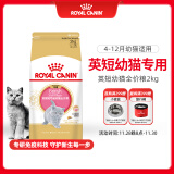 皇家猫粮 英短幼猫粮 BSK38 通用粮 4-12月 2KG