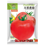 花翁 大番茄种子3克/袋 西红柿苗秧种籽沙瓤四季农蔬菜番茄孑