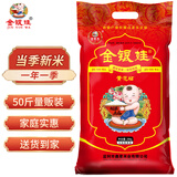 金银娃 黄花粘米 当季新米 油粘米 南方籼米 长粒香大米50斤