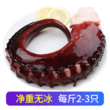 特大鱿鱼须新鲜速冻脆口鱿鱼须非章鱼足超大冷冻生鲜水产商用批发 【超大号】2斤 1000g(净重)