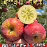 正宗昭通丑苹果新鲜现摘水果整箱脆甜多汁香甜绍通野生苹果冰糖心 10斤净重75-80mm精选中大果