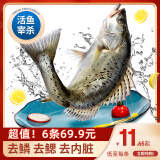 简鲜新鲜活冻三去开背开腹白蕉海鲈鱼生鲜海鱼海鲜水产去鳃去鳞去内脏 开肚海鲈鱼250-300克*6条装