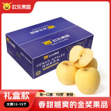 欢乐果园（Joy Tree）山东黄金维纳斯苹果 雀斑苹果 5斤礼盒装 约12-15粒 生鲜水果