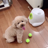 华元宠具（hoopet）狗狗玩具网球发射器自动抛球弹力球逗狗神器宠物训狗神器自嗨解闷 afp迷你网球机