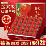 梓颐大凉山红颜草莓99牛奶油草莓【多地次日达】草莓水果礼盒圣诞礼物 贡品奶脂级9-12g+|2盒高端礼盒装净重1.2斤