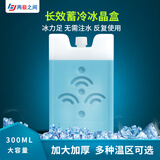 两极之间蓝冰冰盒大号冰晶盒空调扇制冷医药试剂疫苗2-8度冷链运输冰排 300ml 0度（日常使用推荐选）