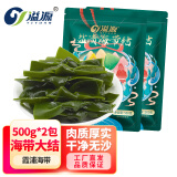 溢源霞浦新鲜盐渍海带结500g厚结海带扣煲汤凉拌凉菜麻辣烫串串钵钵鸡 盐渍大结 500g*2袋（约110个）