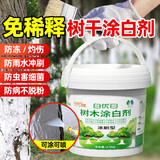 领沃大树涂白剂园林盆景树杆果树树木树干刷白防虫防冻防寒杀菌石灰粉 直涂型涂白剂】5斤*1桶+送毛刷