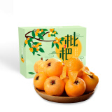 云南 高山枇杷3斤礼盒装 特级 单果30-40g 清甜口感 生鲜年货礼盒 新鲜水果