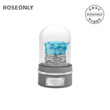 諾誓ROSEONLY星座独角兽抱抱龙永生花玫瑰花音乐球女友生日情人节礼物 水瓶座-音乐球-钟罩-守护色