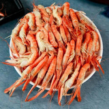 夹板虾狗虾红爪虾嘎巴虾枪虾卡搭虾鼓虾乐队虾熟冻海鲜 500g(净重)