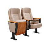 礼堂椅排椅报告厅会议室连排座椅电影院座椅剧院学校阶梯教室排椅 款式1