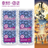 佳沃 JOYVIO 秘鲁进口蓝莓 14mm+ 礼盒装6盒 约125g/盒 新鲜水果礼盒
