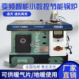能师傅数控锅炉 农村家用地暖通炕锅炉燃煤多回程节能反烧柴煤电取暖炉 七回程新款通炕煤柴款160平