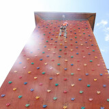 育龍儿童体育锻炼壁虎墙攀爬支点户外家庭感统训练多彩塑料攀岩石支点 B型
