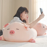 捉趣（ZHUOQU）小猪公仔可爱创意毛绒玩具玩偶陪睡抱枕靠垫娃娃玩偶女生生日礼物 BOBO眯眼猪猪 50cm