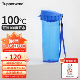 特百惠（Tupperware）茶韵500ML塑料杯 男女学生便携办公用水杯子大容量双饮口 纯净蓝