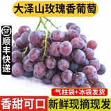 良知农哥【顺丰】山东青岛大泽山玫瑰香葡萄 玫瑰香葡萄4斤