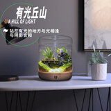丘辰苔藓微景观生态瓶DIY办公室内桌面绿植摆件造景花卉盆栽生日礼物 有光丘山（充电款）