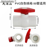 大漠山 pvc止回阀逆止阀排水管防溢水防反水防倒灌水槽下水管防臭50管 【白色】50管用简易球阀