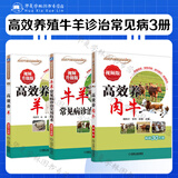 高效养殖牛羊诊治常见病3册 视频版 高效养肉牛+高效养羊+牛羊常见病诊治实用技术 养羊技术大全 肉牛养殖技术书籍 畜牧养殖书籍 科学养殖 养殖书籍 牛羊常见病诊治