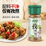 特瑞肯（TRICON）孜然粉烧烤羊肉串火锅撒料炖肉腌肉牛排炸鸡排调味品35g/瓶送礼