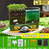 iosn水土培植物观察盒绿植物容器生长种植学生儿童盆栽幼儿园实验作业 军绿色【水培+土培/6种子】