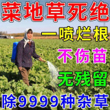 除草剂烂根除杂草三年不长草不伤菜苗烂根死树灌木杂草一扫光专用 三瓶装【一年无杂草】