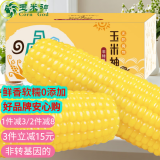 玉米神（Corn God）甜糯黄黑玉米棒新鲜采摘东北软黏粘香非转基因生鲜餐粗粮真空苞米 【软糯鲜香】黄糯玉米10支/4.4斤