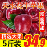 壹农壹果 甘肃天水花牛新鲜苹果 粉面苹果  时令生鲜新鲜苹果水果整箱大果 5斤大果装 80-85mm