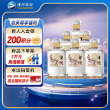 洋河 敦煌文化 小飞天 52度 500ml*6 整箱装 绵柔浓香型 光瓶口粮酒 