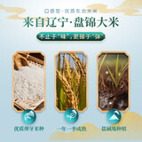 盘锦大米 GB/T18824 东北大米圆粒珍珠米【包装款式随机发货】 盘锦大米1000g【2斤】
