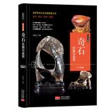 奇石收藏与鉴赏 奇石鉴别方法 养护 石头珍品欣赏 化石玉石观赏石知识入门百科
