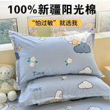 南极人家纺全棉枕套一对装纯棉家用高支高密斜纹枕头套宿舍单人枕芯套 玉桂兔【48x74cm/一对装】