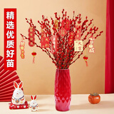 花行榜鲜枝年宵花卉干花 60cm大红银柳30枝+红波浪瓶+10个挂件源头直发