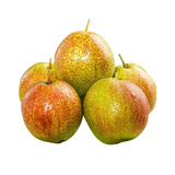 趣尝鲜山西玉露香梨 300g+ 净重5斤 新鲜水果生鲜 1号店 源头直发