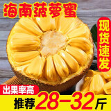 素月海南三亚菠萝蜜新鲜水果黄肉一整个28-32斤菠萝蜜1个大果特产生鲜
