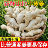 正宗现挖小黄姜云南9斤新鲜黄姜高山嫩姜月子姜非老姜沙姜 250g