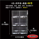 鹏实加粗鸽笼鸽子笼养殖笼 配对鸽笼子养殖肉鸽笼子 笼子家用阳台鸽笼 6笼位带配件加垫网换粪盘